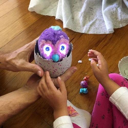 魔法蛋视频,揭秘神奇魔法的奇幻之旅