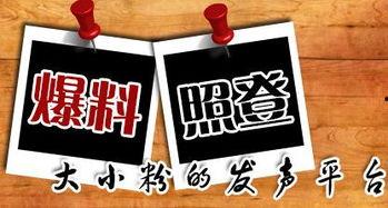 迷你新闻大爆料,揭秘娱乐圈最新热点事件