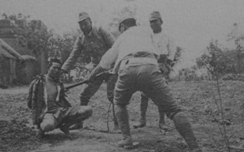 日本兽军,二战中的神秘生物部队揭秘