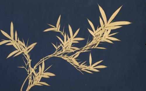 石墨生花视频种子包,揭秘视频种子包的神奇之旅