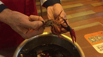 花椒许诺闪现视频,揭秘网红直播背后的精彩瞬间