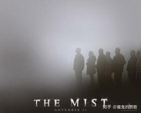 电影迷雾在线观看,惊悚迷雾中的生存之战