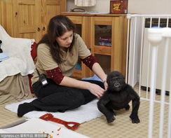 代理孕母受孕av,揭开生命传承的神秘面纱