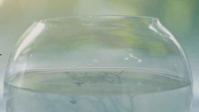 仰泳 在线播放,仰泳技巧在线教学视频解析