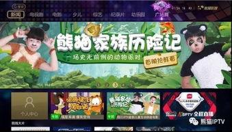 熊猫家族成员 爆料视频,独家爆料视频大公开