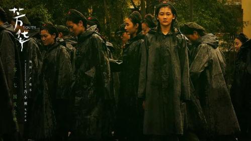 芳华电影高清在线观看,重温青春岁月，共赴时代芳华之旅