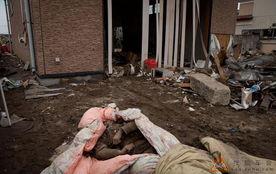 日本地震尸体,日本地震遇难者遗体处理纪实