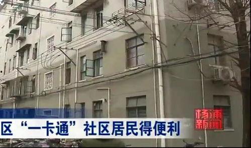 小区爆料家暴事件案例最新,邻里安全谁来守护？