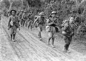 中国远征军全集免费观看,揭秘抗战传奇，重温民族英雄壮丽篇章