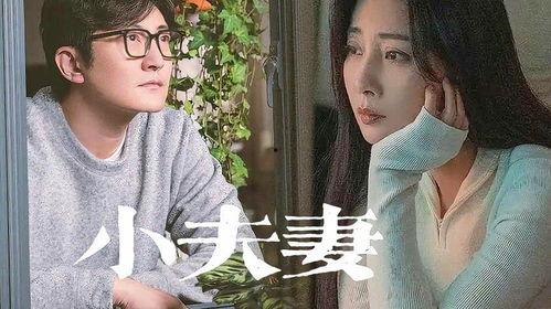 夫妇吵架爆料视频播放,家庭矛盾引发网友热议