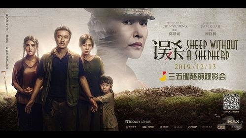 电影误杀观看免费,揭开真相的迷雾，正义与邪恶的较量