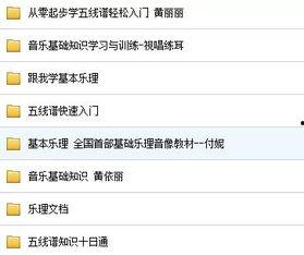 五线谱视频教程,轻松掌握音乐基础与识谱技巧