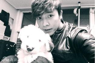 宠物情人韩国在线播放,韩国浪漫爱情剧在线播放，甜蜜瞬间尽收眼底